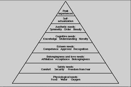 hierarchy of needs. The Hierarchy of Needs and